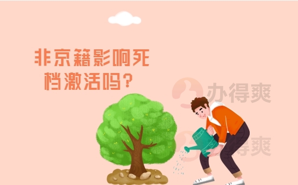 个人档案