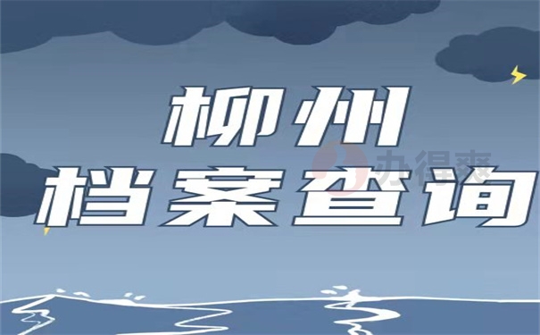 柳州档案查询