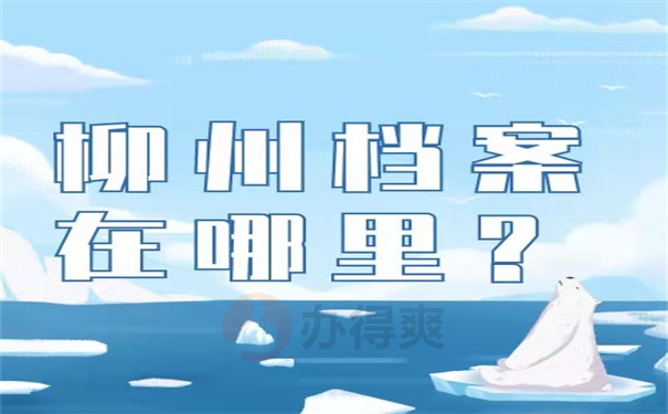 柳州档案在哪里？