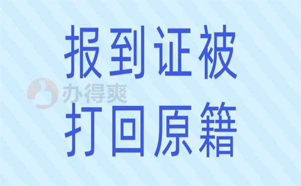 报到证被打回原籍