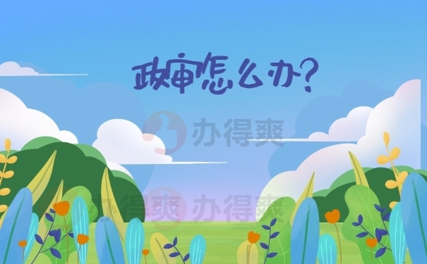 政审该怎么办？