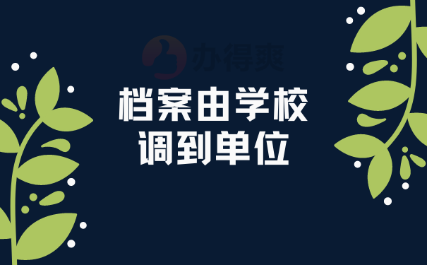 档案由学校到单位