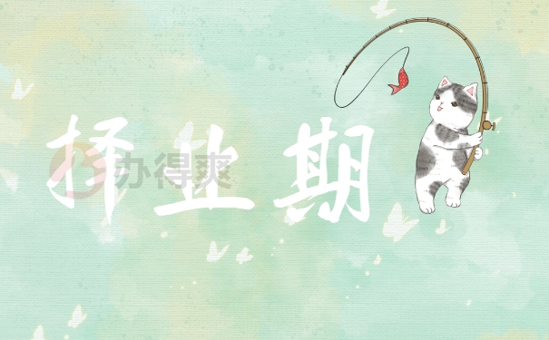 择业期