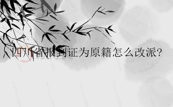 四川省报到证回原籍怎么改派