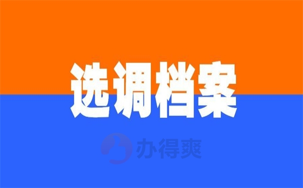 选调档案