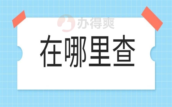 在哪里查