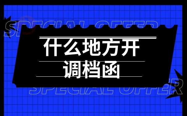 什么地方开调调档函