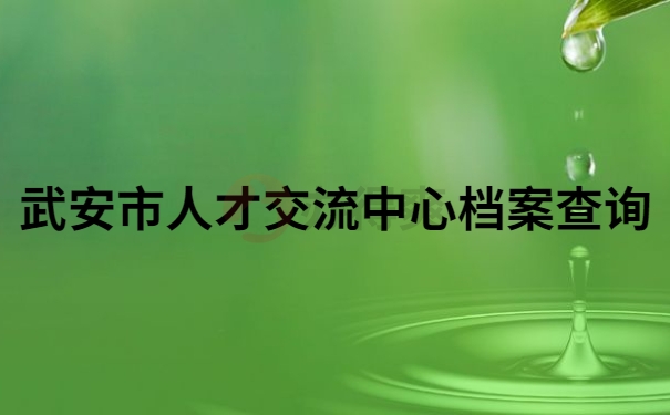 武安市人才交流中心档案查询