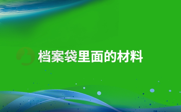 档案袋里面的材料