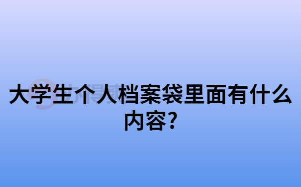 大学生个人档案袋里面有什么内容