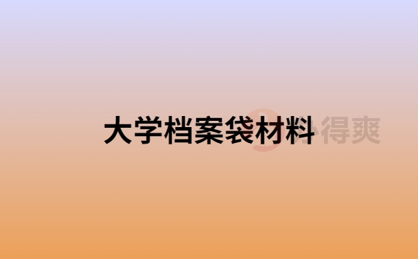 大学档案袋材料