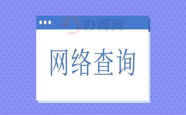 网络查询