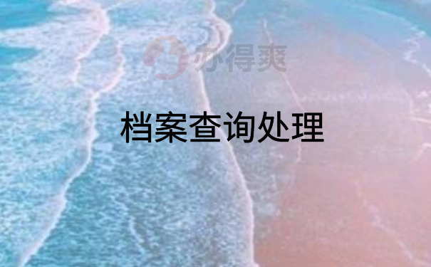 档案查询处理