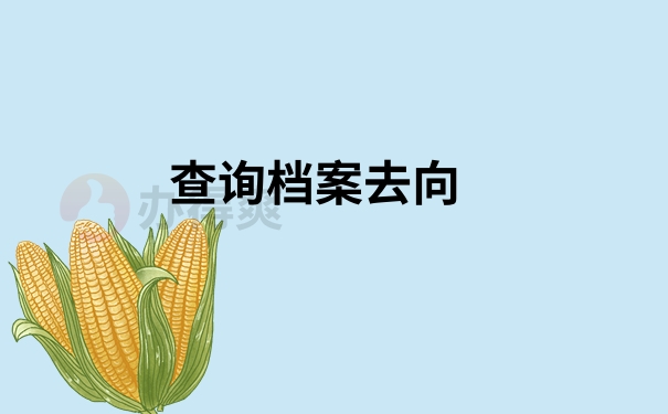 查询档案去向