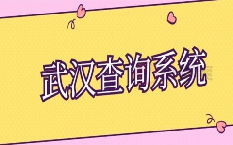 武汉学籍档案查询系统入口，一看就会得查询方法！